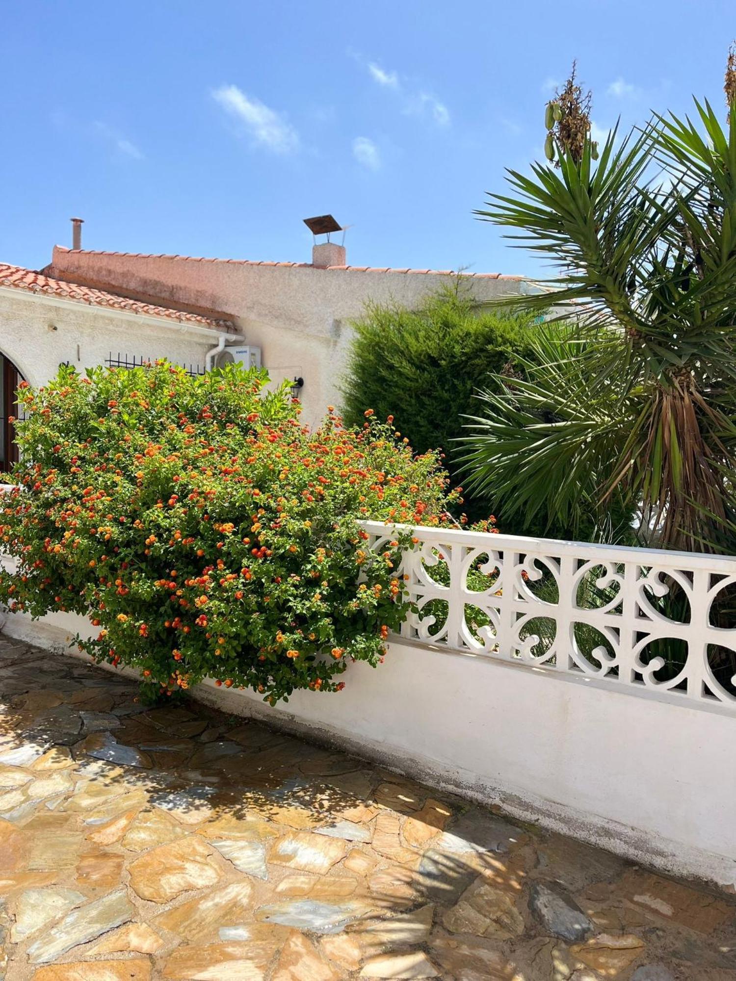 Holiday Apartments Torrevieja Extérieur photo