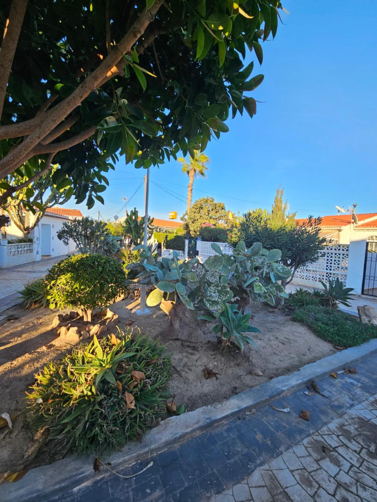 Holiday Apartments Torrevieja Extérieur photo