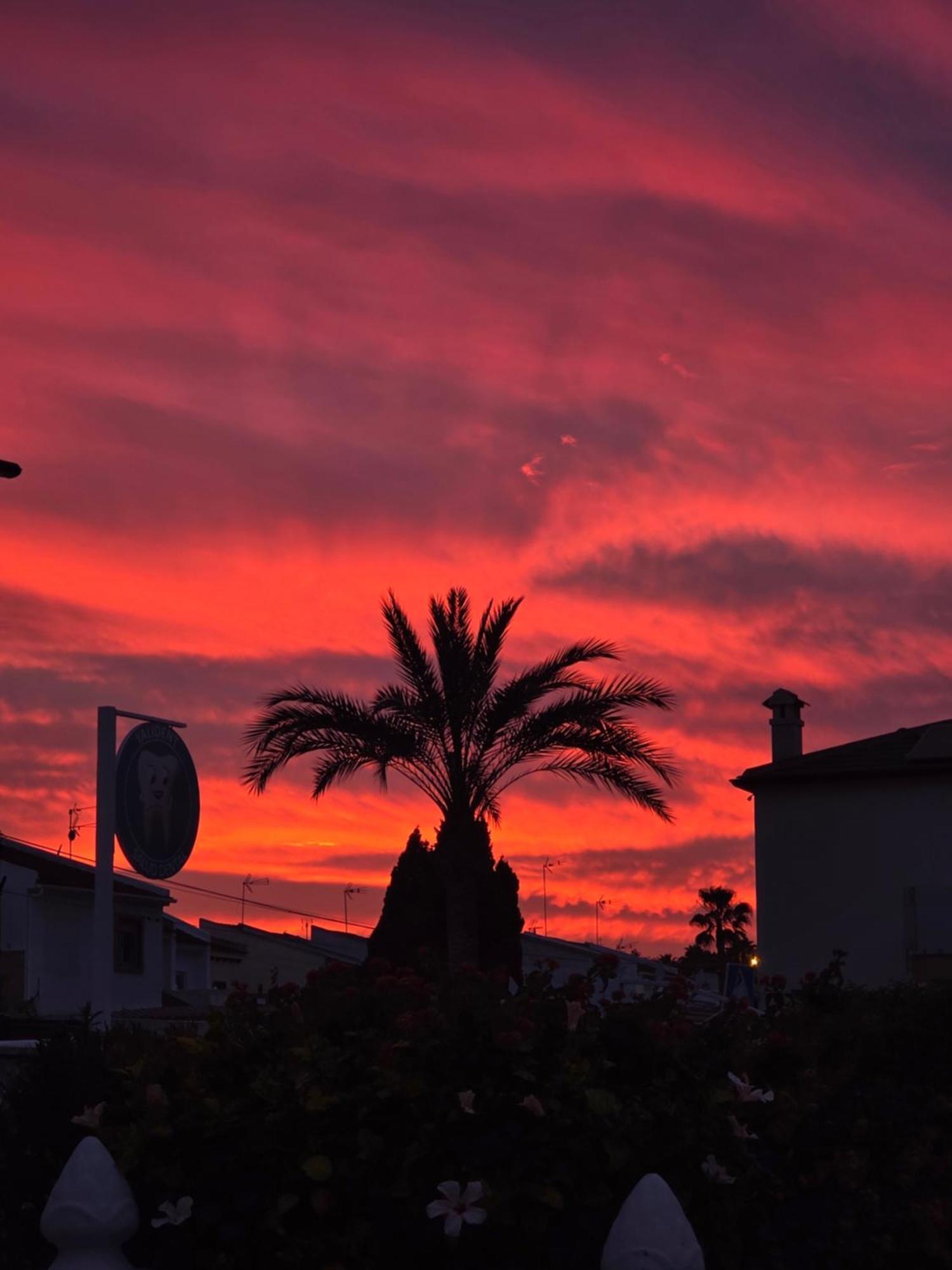 Holiday Apartments Torrevieja Extérieur photo
